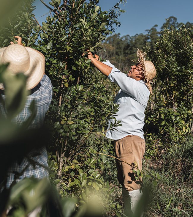 Vårt företag coco-mat farms (1)